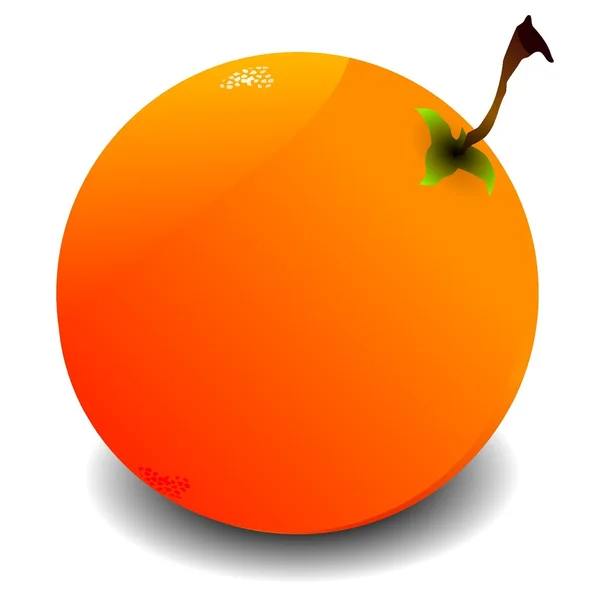 Pomarańcza — Wektor stockowy