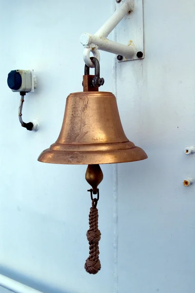 Sea bell — Stock Photo, Image