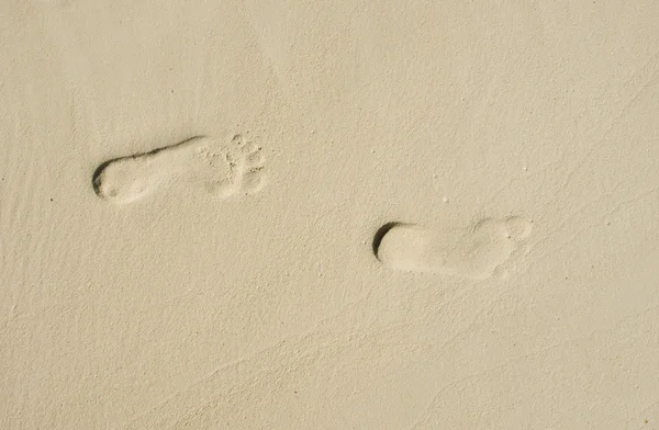 砂の上の人間の痕跡 ストック画像