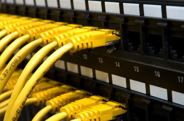 노란색 네트워크 케이블 — 스톡 사진