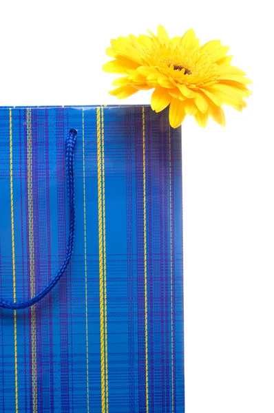 선물 종이 봉투 — 스톡 사진