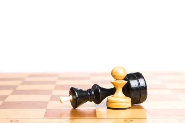 Dois xadrez — Fotografia de Stock