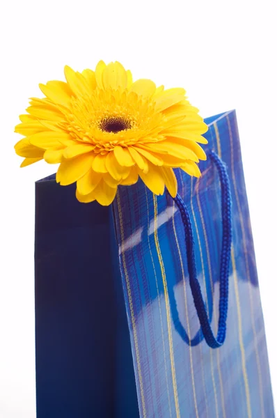 Paper bag for gifts — Stock Photo, Image