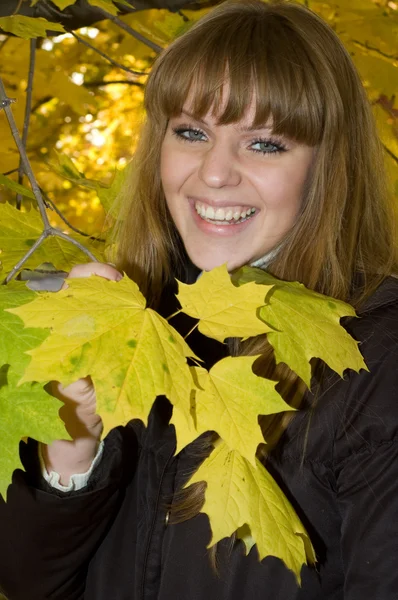 Young girl with yellow leaves — Stock Photo, Image