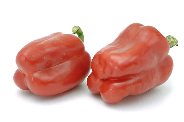 Pair of red sweet Paprica — Stock Photo, Image