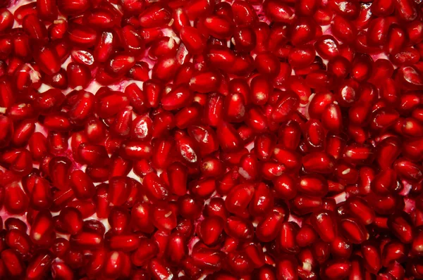 stock image Pomegranate seeds