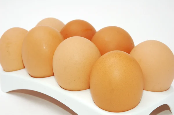 stock image Chicken eggs