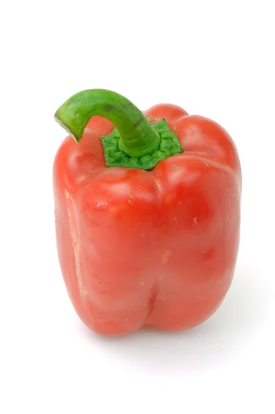 Red sweet paprika — Stock Photo, Image
