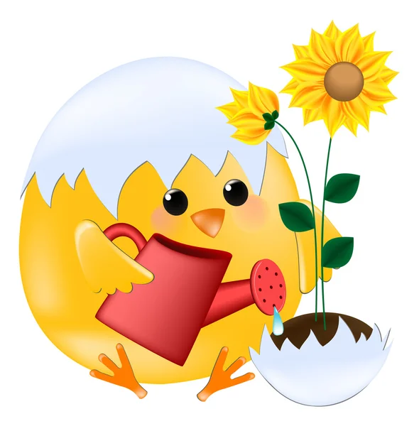 Chick with sunflower — Stock Vector