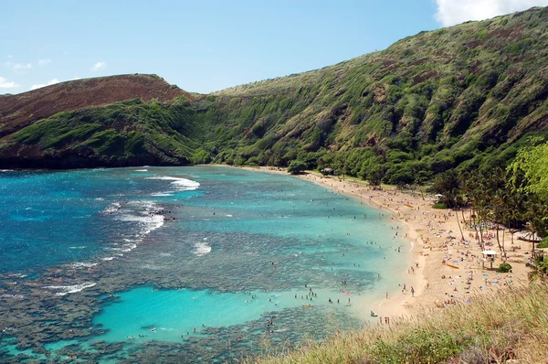 Hanauma Bay Reef beach Honolulu Hawaii — Stock Photo © Nikonite #1290681