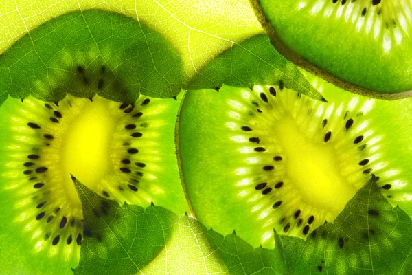 Segmenten kiwi — Stockfoto