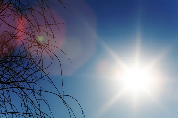 Ήλιο να λάμψει στο γαλάζιο του ουρανού με το δέντρο — Φωτογραφία Αρχείου