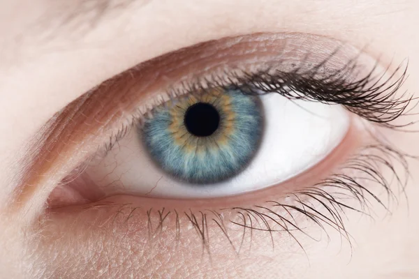 Human eye. Macro shot — Stock Photo, Image
