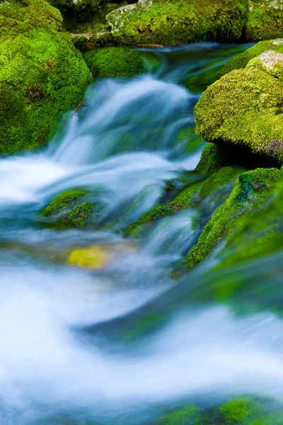 Mountain stream — Stock Photo, Image