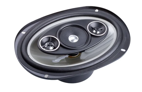 stock image Auto audio system loud speaker