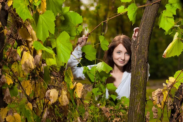 Retrato de otoño de una joven mujer bonita —  Fotos de Stock