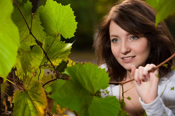 Herbstporträt einer jungen hübschen Frau — Stockfoto