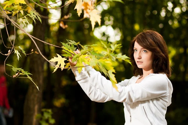 Autumn portrait of young pretty woman — Stock Photo, Image