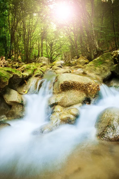 Beautiful waterfall in mountain wood, su — Stock Photo, Image
