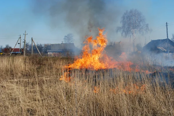 stock image Grass fire#07