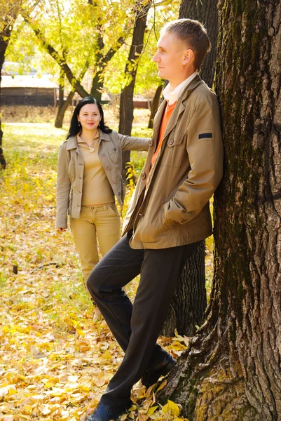 Paar in herfstpark — Stockfoto