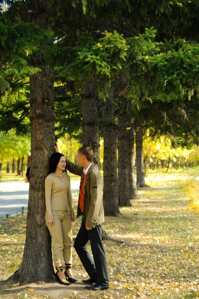 秋日公园里的夫妻 — 图库照片