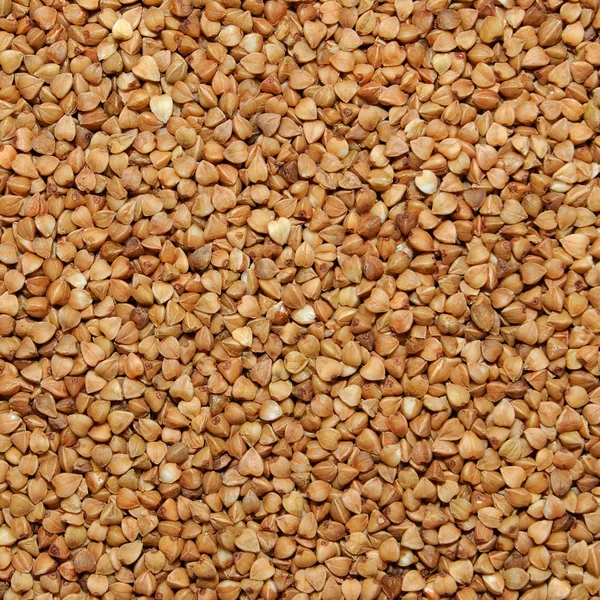Granos de trigo sarraceno —  Fotos de Stock
