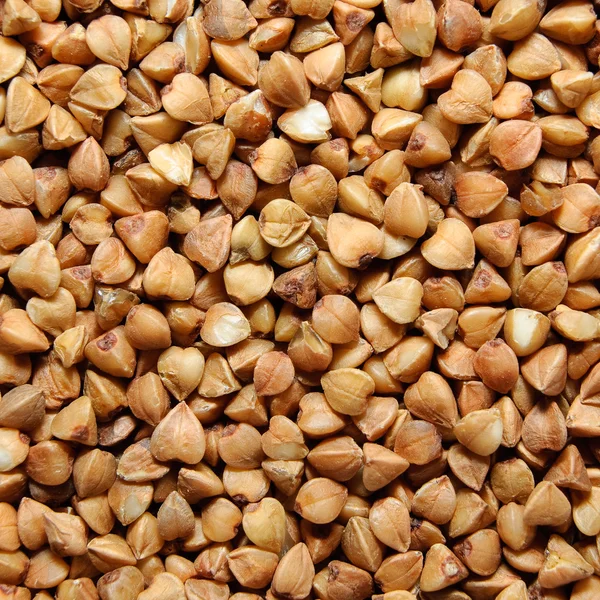 Granos de trigo sarraceno —  Fotos de Stock