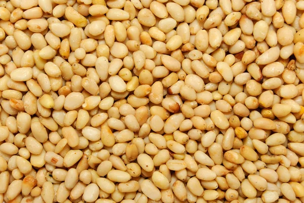 Pine nuts grains — Stock Photo, Image