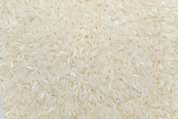 White rice grains — Stock Photo © demoded #1465853