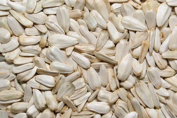 ヒマワリの穀物 — ストック写真