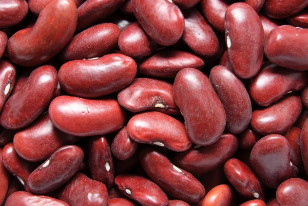 Зерновые бобы — стоковое фото