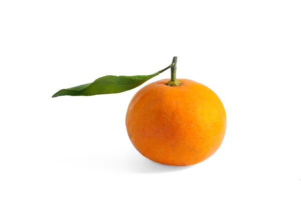Orange with branch — Stock Photo, Image