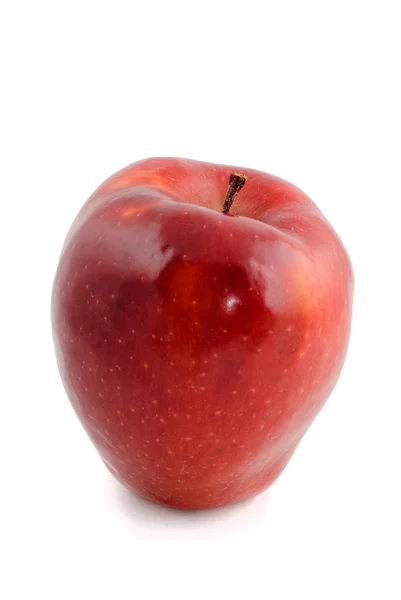 stock image Big red ripe apple