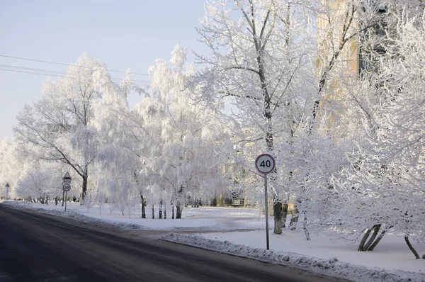 Kış huş ağaçları sokak — Stok fotoğraf