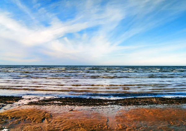 Море зимових краєвид — стокове фото