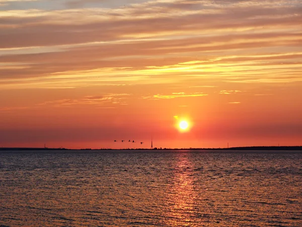 Захід сонця над бухтою з птахами — стокове фото