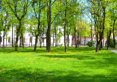 Bahar parkı ile yeşil çimen