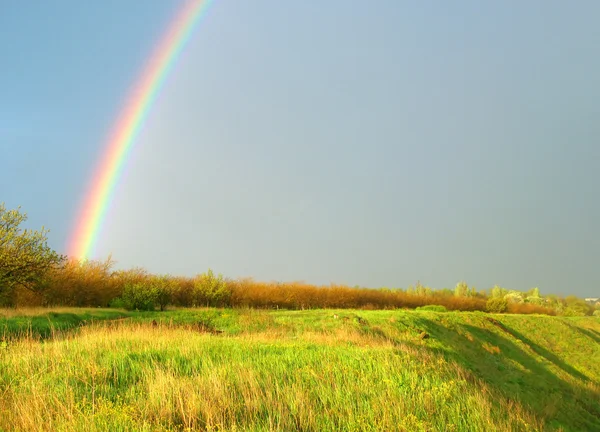 stock image Landscape with rainbow, green grass