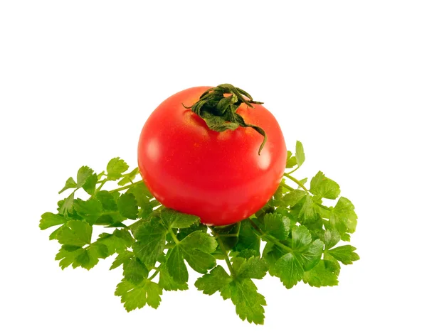 Tomato and parsley on white background — Stock Photo, Image