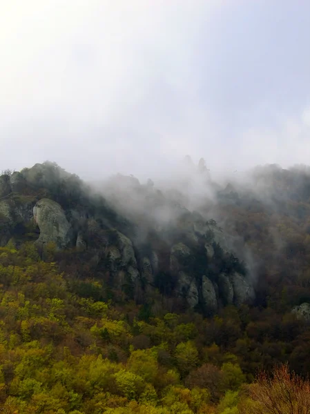 Mountains in clouds — Stock Photo, Image