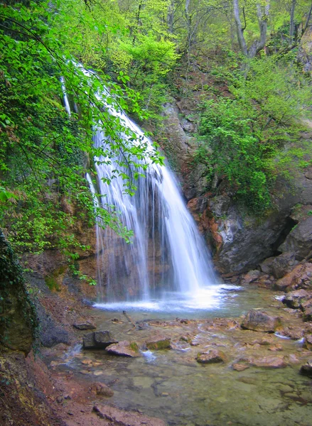 stock image Landscape with a waterfall in the forest