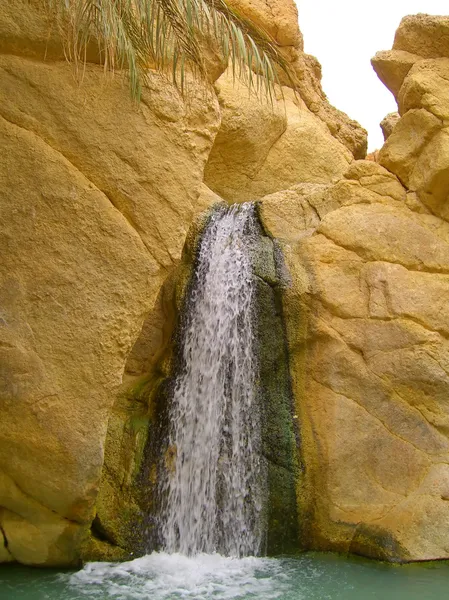 Оазис в пустелі і водоспади — стокове фото