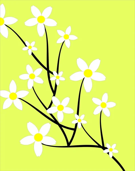 Karta kwiatowy — Zdjęcie stockowe