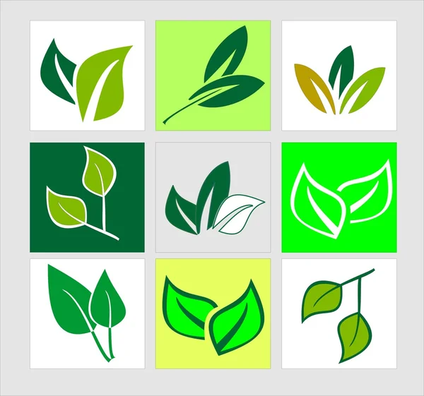 Leaves. Elements for design. — Stock Photo, Image