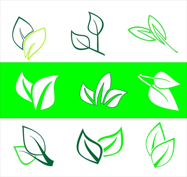 stock image Leaves. Elements for design.