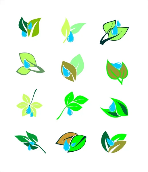 stock image Leaves. Elements for design.