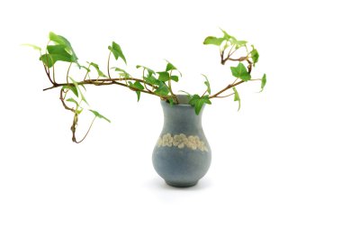 Vase with ivy clipart