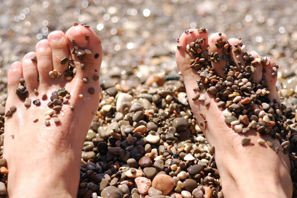 stock image Legs on the beach