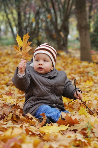 Dítě štěstí hraje v lese — Stock fotografie